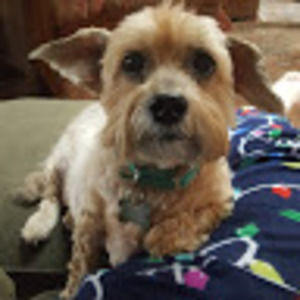 Meet your Posher, Cassandra